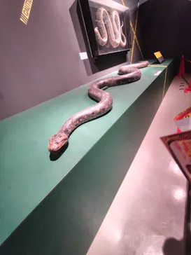 特別展「超危険生物展　科学で挑む生き物の本気」に投稿された画像（2026/4/7）