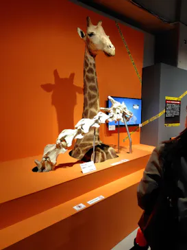 特別展「超危険生物展　科学で挑む生き物の本気」に投稿された画像（2026/4/7）