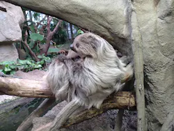 那須どうぶつ王国に投稿された画像（2026/4/7）