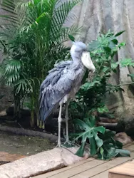 那須どうぶつ王国に投稿された画像（2026/4/7）