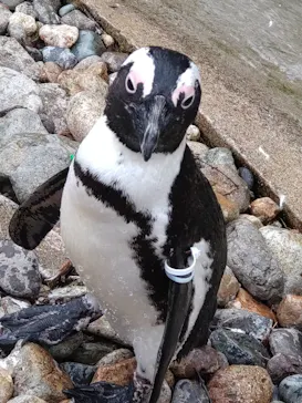 那須どうぶつ王国に投稿された画像（2026/4/7）