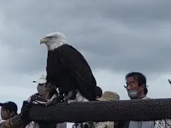 那須どうぶつ王国に投稿された画像（2026/4/7）