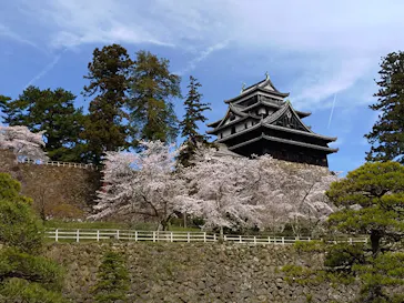 松江城に投稿された画像（2026/4/7）
