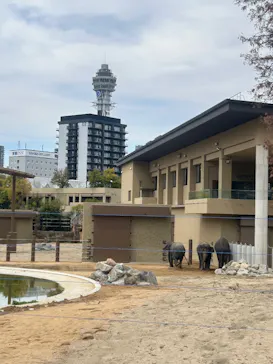 天王寺動物園に投稿された画像（2026/4/7）