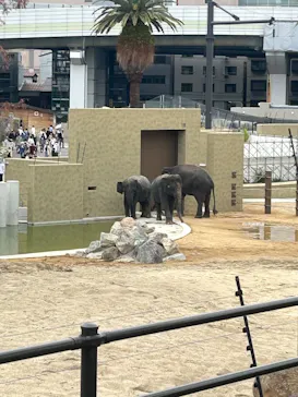 天王寺動物園に投稿された画像（2026/4/7）