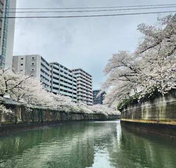 東京ウォータウェイズに投稿された画像（2026/4/7）