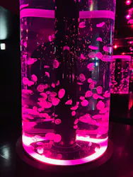 マクセル アクアパーク品川に投稿された画像（2026/4/7）