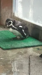 東武動物公園に投稿された画像（2026/4/7）