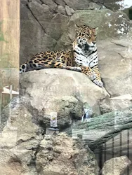 東武動物公園に投稿された画像（2026/4/7）