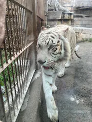 東武動物公園に投稿された画像（2026/4/7）