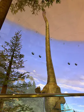 福井県立恐竜博物館に投稿された画像（2026/4/7）