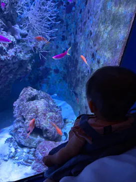 沖縄美ら海水族館に投稿された画像（2026/4/7）