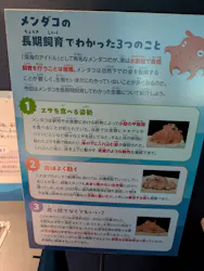サンシャイン水族館に投稿された画像（2026/4/7）