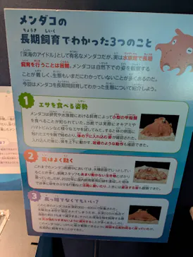 サンシャイン水族館に投稿された画像（2026/4/7）