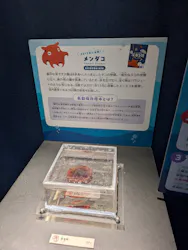 サンシャイン水族館に投稿された画像（2026/4/7）