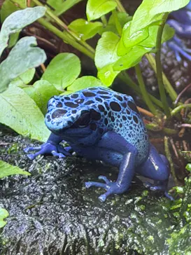 恩賜上野動物園に投稿された画像（2026/4/7）