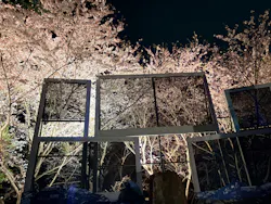 ニジゲンノモリに投稿された画像（2026/4/8）