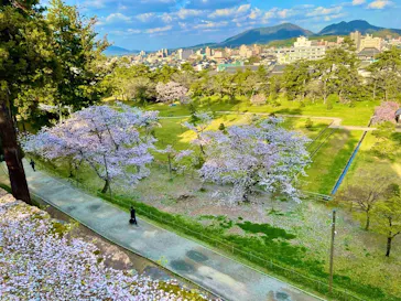 松江城に投稿された画像（2026/4/8）