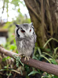 伊豆シャボテン動物公園に投稿された画像（2026/4/8）