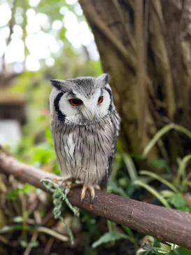 伊豆シャボテン動物公園に投稿された画像（2026/4/8）
