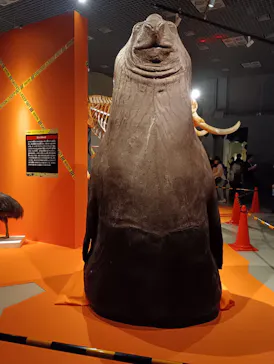 特別展「超危険生物展　科学で挑む生き物の本気」に投稿された画像（2026/4/8）