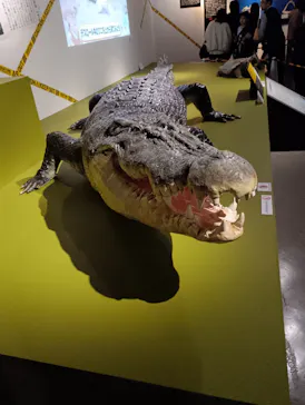 特別展「超危険生物展　科学で挑む生き物の本気」に投稿された画像（2026/4/8）