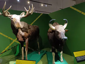 特別展「超危険生物展　科学で挑む生き物の本気」に投稿された画像（2026/4/8）