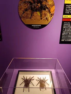 特別展「超危険生物展　科学で挑む生き物の本気」に投稿された画像（2026/4/8）