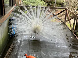 伊豆シャボテン動物公園に投稿された画像（2026/4/8）