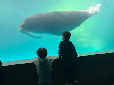 大分マリーンパレス水族館 「うみたまご」に投稿された画像（2026/4/8）