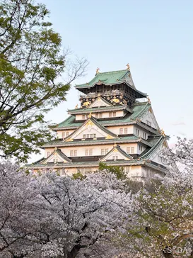 大阪城公園 西の丸庭園に投稿された画像（2026/4/8）