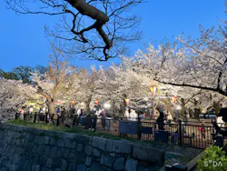 大阪城公園 西の丸庭園に投稿された画像（2026/4/8）