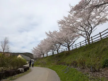 EnglishGardenローザンベリー多和田に投稿された画像（2026/4/8）