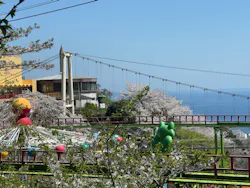 別府ケーブルラクテンチに投稿された画像（2026/4/8）