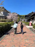 博物館 明治村に投稿された画像（2026/4/8）