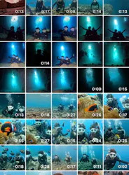 青の洞窟専門店　沖縄ダイビングショップ和に投稿された画像（2026/4/8）