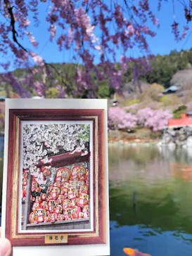 勝尾寺に投稿された画像（2026/4/8）