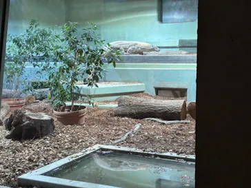 名古屋市東山動植物園に投稿された画像（2026/4/8）