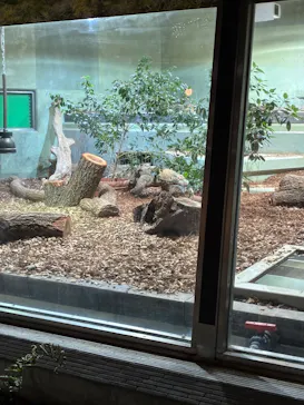 名古屋市東山動植物園に投稿された画像（2026/4/8）