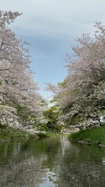 sagasowに投稿された画像（2026/4/8）