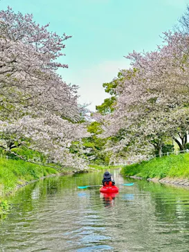 sagasowに投稿された画像（2026/4/8）