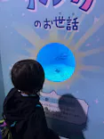 新江ノ島水族館に投稿された画像（2026/4/8）