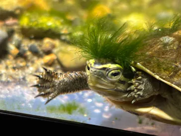 体感型動物園iZooに投稿された画像（2026/4/8）