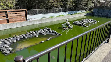 体感型動物園iZooに投稿された画像（2026/4/8）