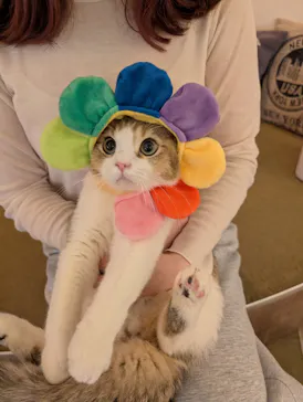 猫カフェモカ　池袋東口店に投稿された画像（2026/4/8）