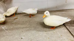 アニタッチ 東京ドームシティに投稿された画像（2026/4/8）