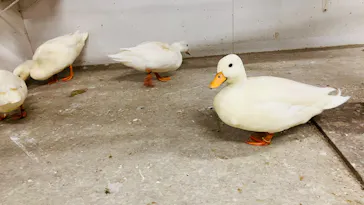 アニタッチ 東京ドームシティに投稿された画像（2026/4/8）