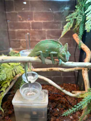 NARA IKIMONO MUSEUMに投稿された画像（2026/4/8）