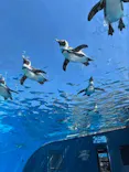サンシャイン水族館に投稿された画像（2026/4/8）