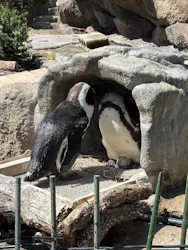 サンシャイン水族館に投稿された画像（2026/4/8）